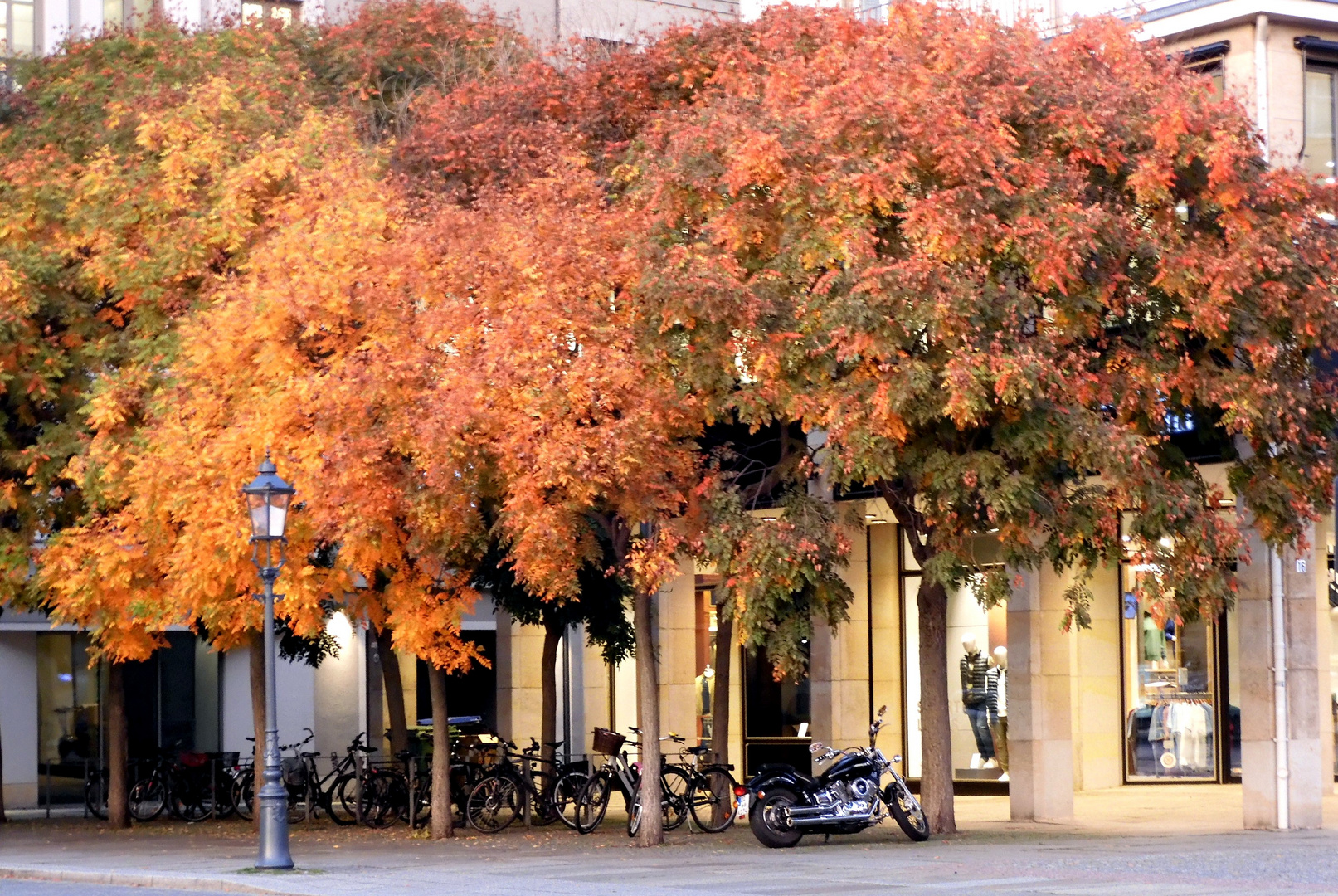 Kräftige Herbstfarben