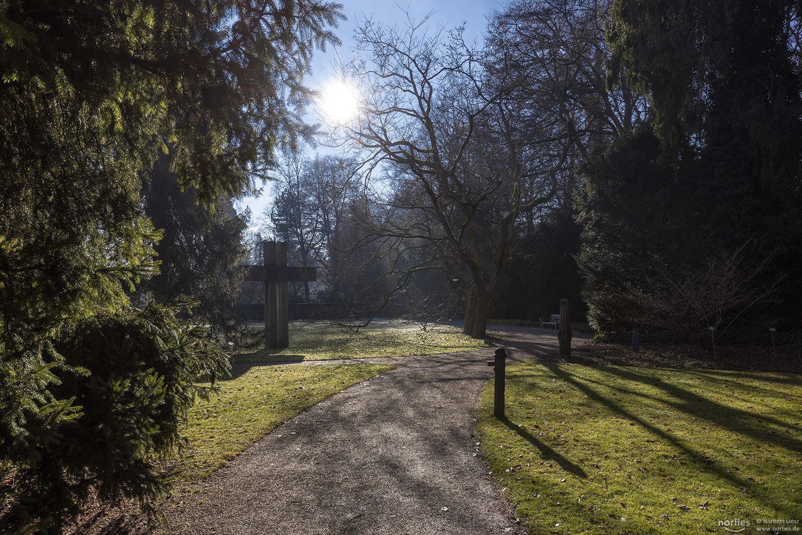 Kräftige Sonne