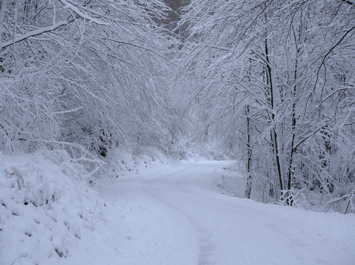 Kräftiger Schneefall