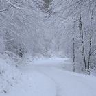 Kräftiger Schneefall