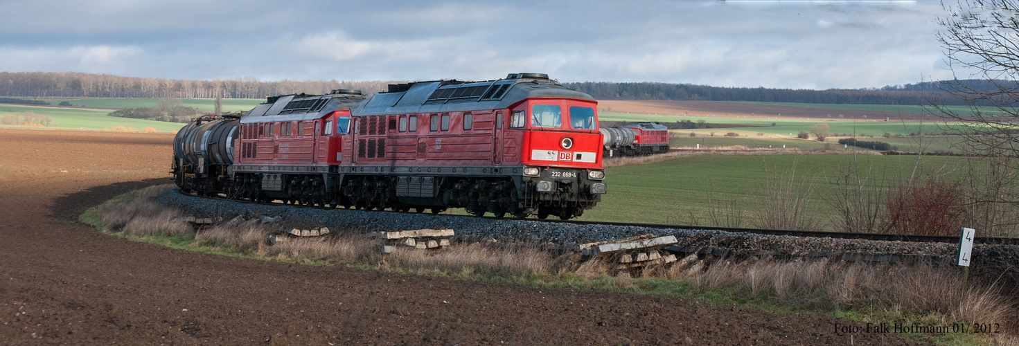 Kräftiges Gespann mit Schub