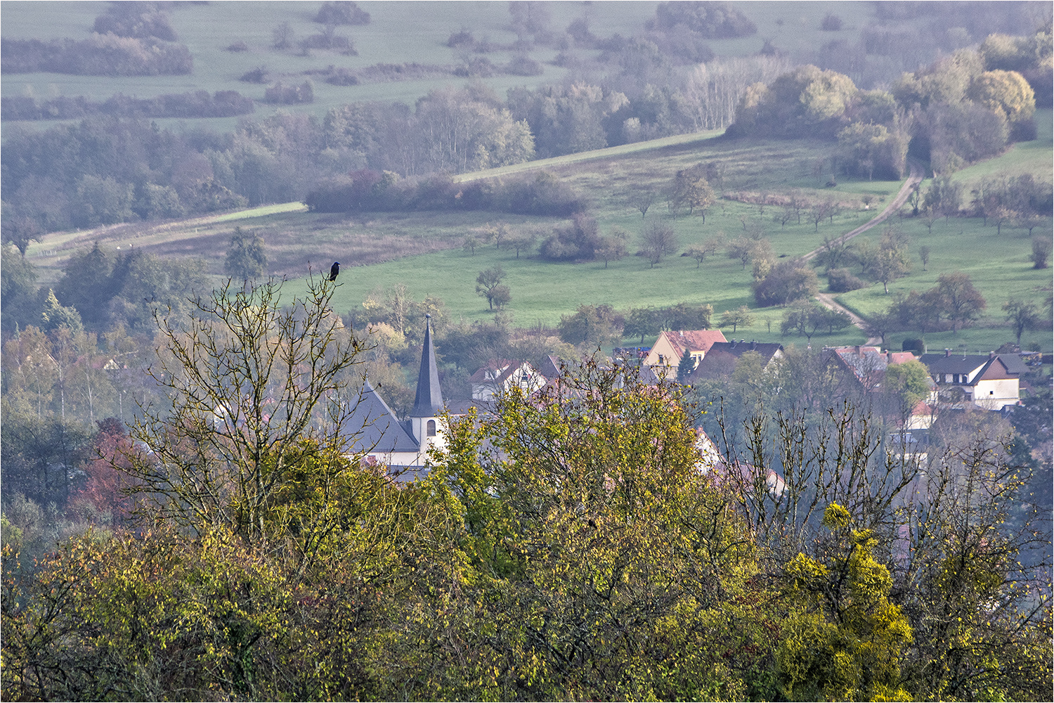 krähe und kirche