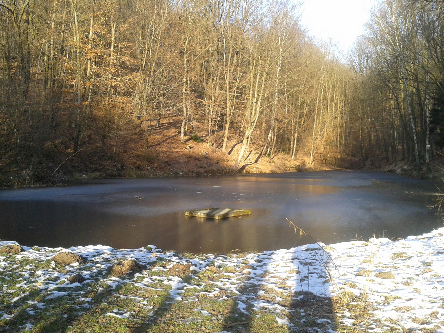 Krämersweiher in Saarbrücken 2015 Foto & Bild landschaft, bach, fluss