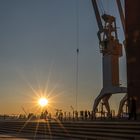 Kräne der Elbphilharmonie bei Sonnenuntergang