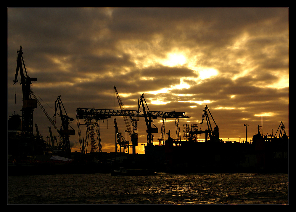 Kräne im Abendlicht