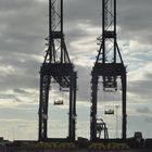 Kräne im Hafen von Zeebrugge, Belgien