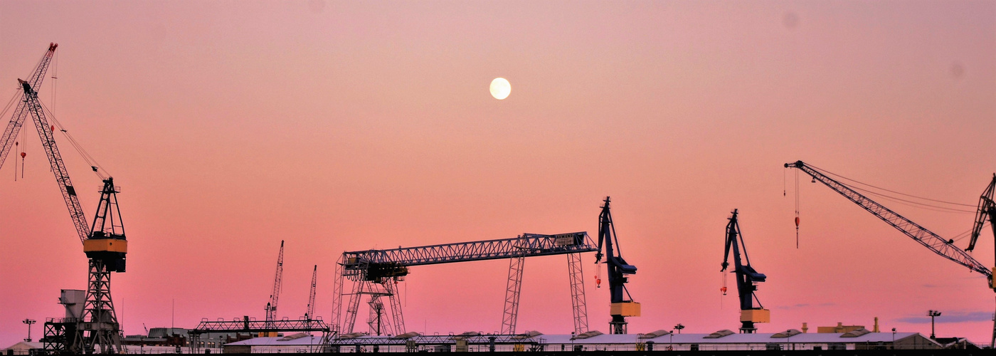 KRÄNE IM HAMBURGER HAFEN