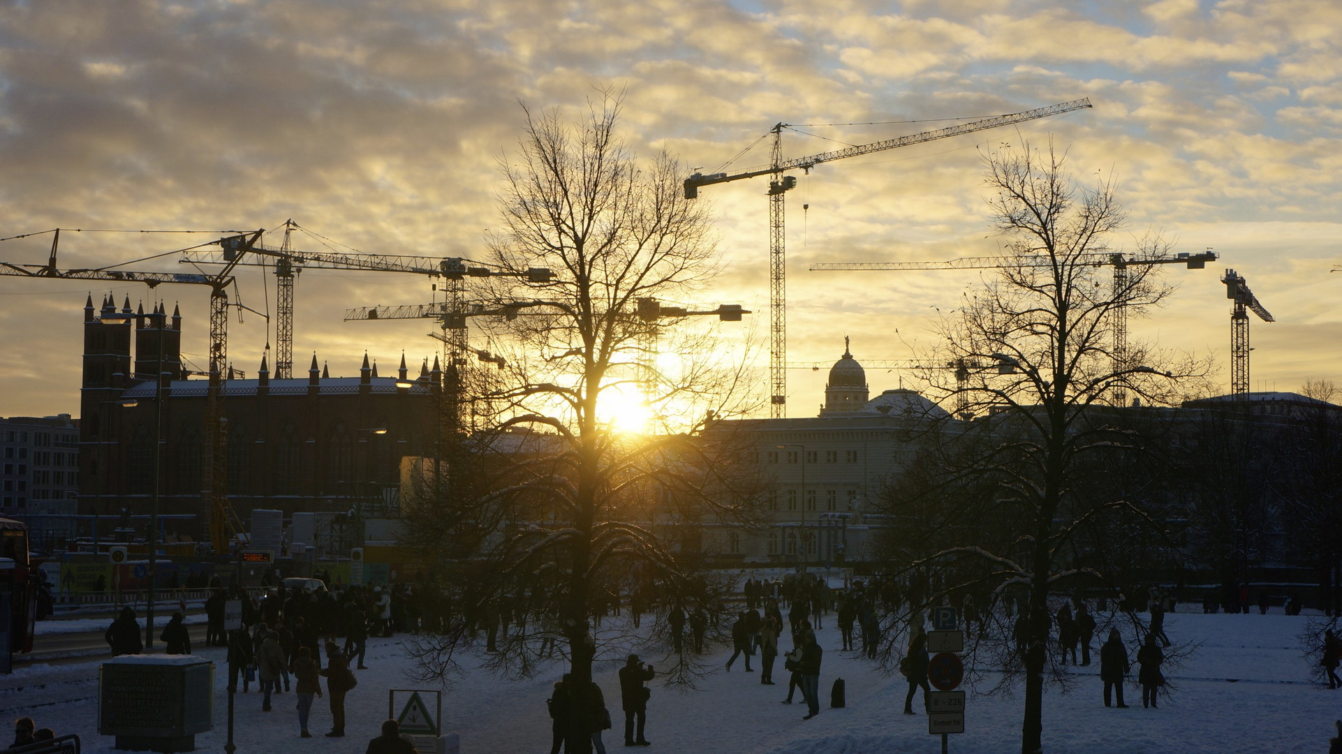 Kräne im Sonnenuntergang