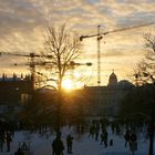 Kräne im Sonnenuntergang