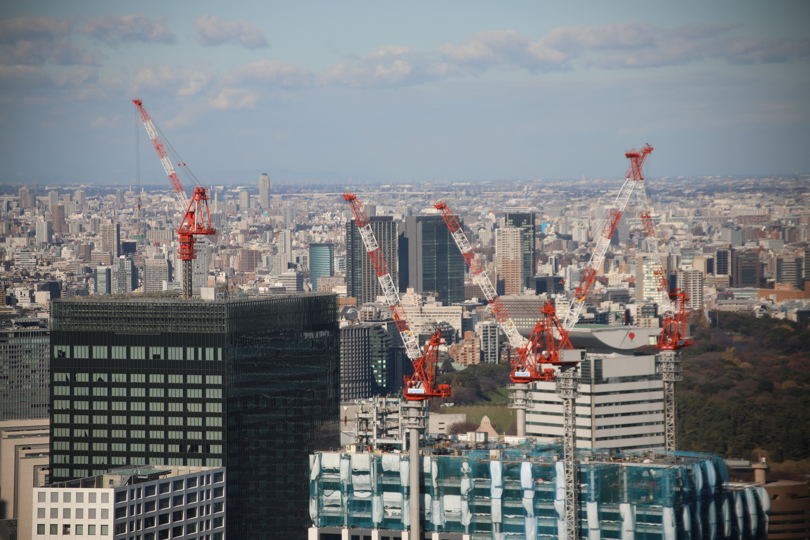 Kräne in Tokio (I)