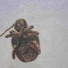 Kräuterdieb (1-2mm)