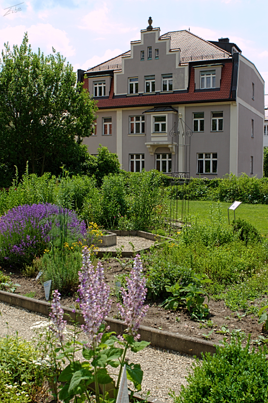 Kräutergarten