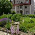 Kräutergarten