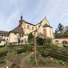 Kräutergarten, Gengenbach mit Stadtkirche Sankt Marien