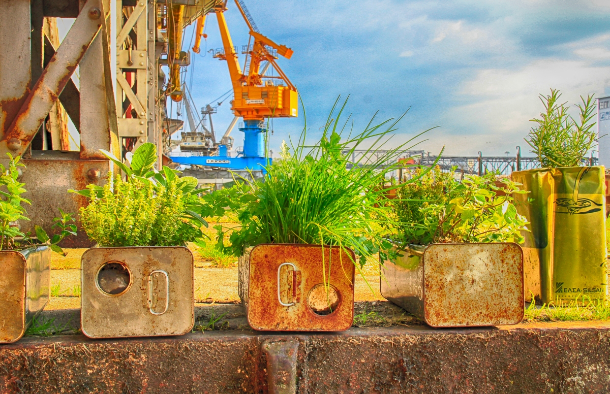 Kräutergarten im Industriehafen