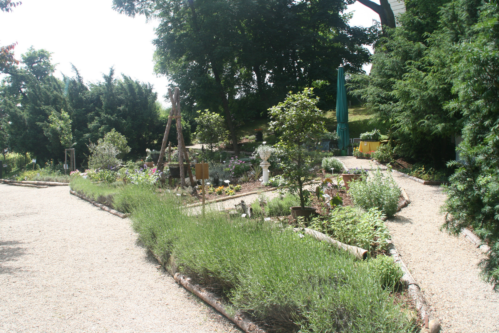 Kräutergarten im Konventgarten Stift Klosterneuburg