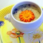 Kräutersuppe mit Ringelblume