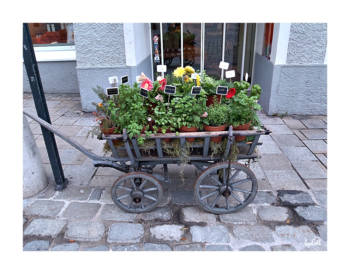 Kräuterverkauf vor der Apotheke ;))