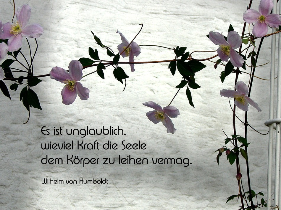 Bilder für die Seele: Entdecke die Kraft der Kunst für dein Wohlbefinden