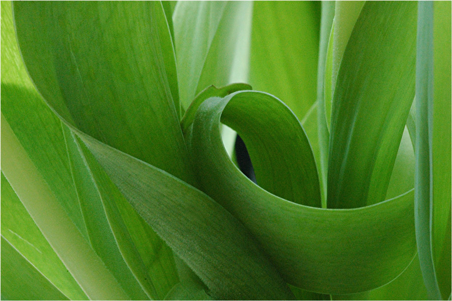 Kraft und schwungvoll in den Frühling