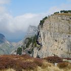 Kraftort Niederhorn im Berner Oberland