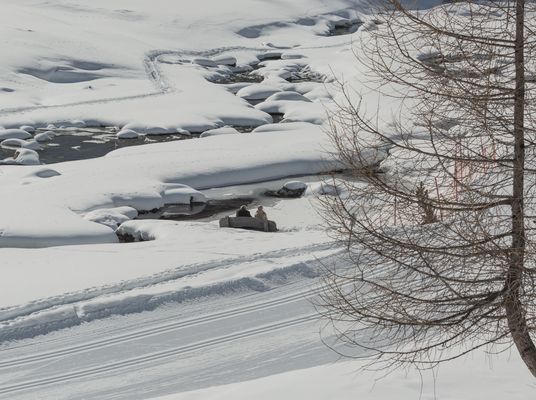 Kraftorte - Eine Bank zum Genießen