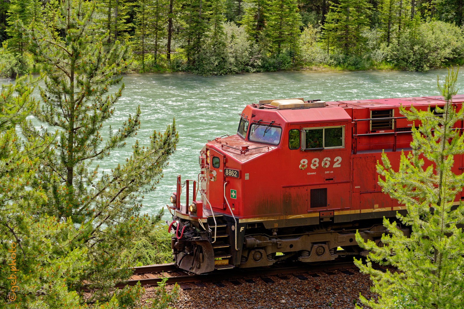 Kraftpaket am Bow River