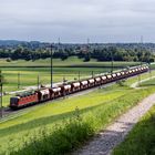 Kraftpaket vor leeren Wagen