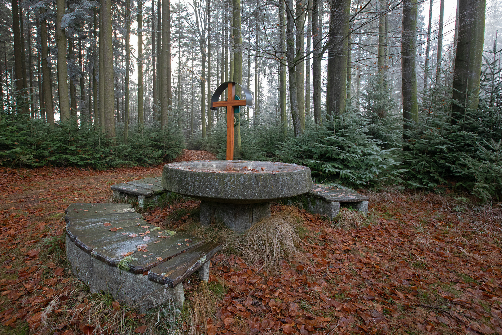 Kraftplatz im Wald