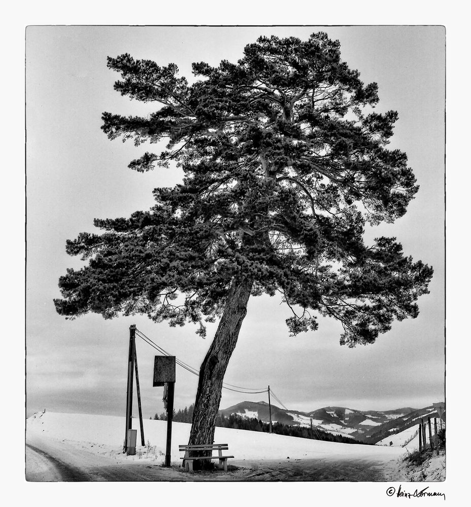 Kraftplatz in der Steiermark . Vintagefoto