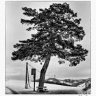 Kraftplatz in der Steiermark . Vintagefoto