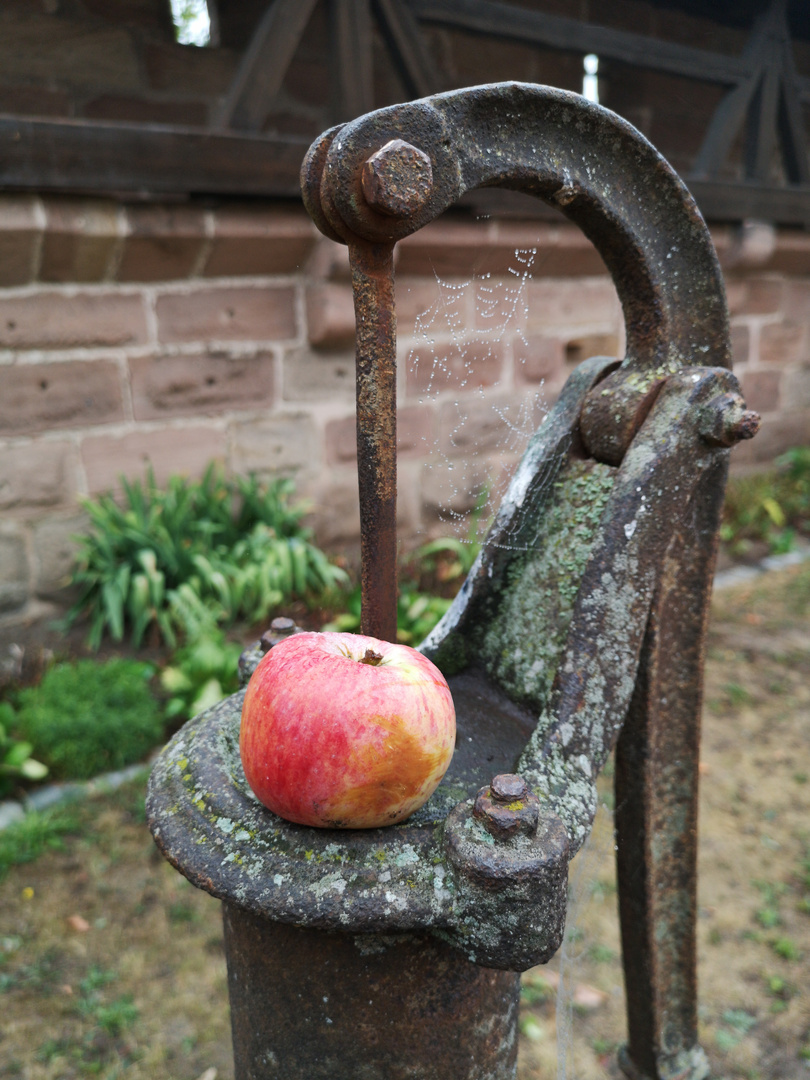 Kraftshof/Nürnberg - Tour und Irrgarten