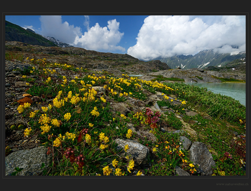 Kraftspendene Landschaft