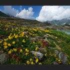 Kraftspendene Landschaft