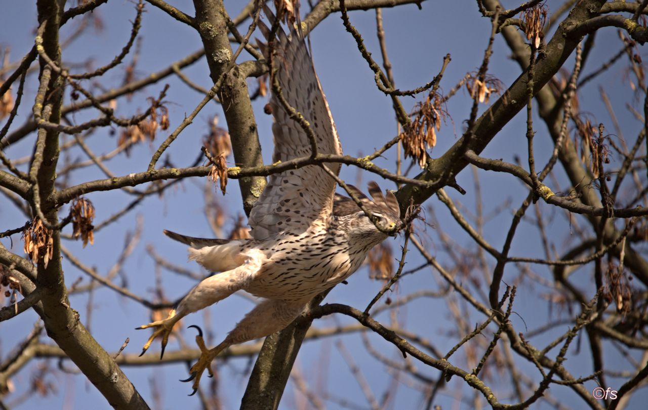 Kraftvoll in den Frühling