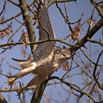 Kraftvoll in den Frühling