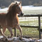 Kraftvolle Ausgelassenheit