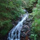 kraftvoller Schwarzwald-Wasserfall