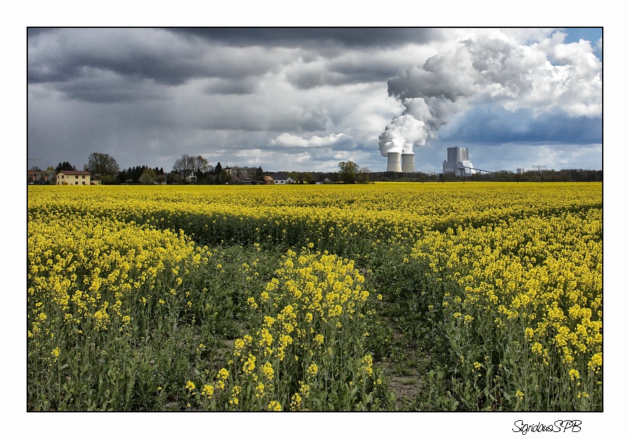 Kraftwerk im Hintergrund....