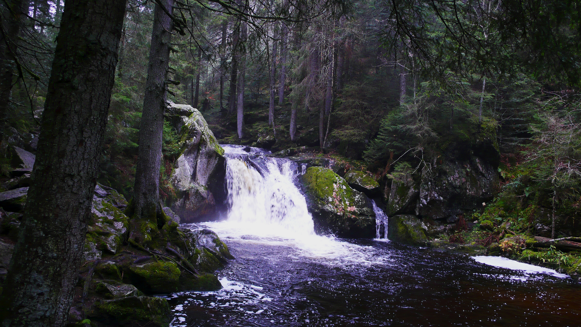 Krai-Woog-Gumpen-im-oberen-Hotzenwald