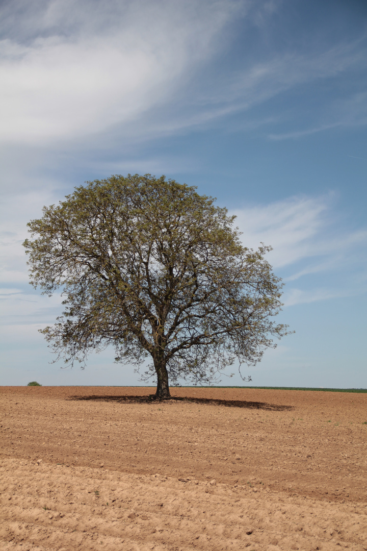 KRAICHGAU