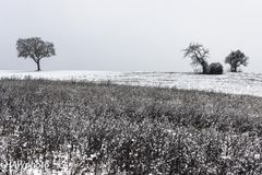 Kraichgau 17