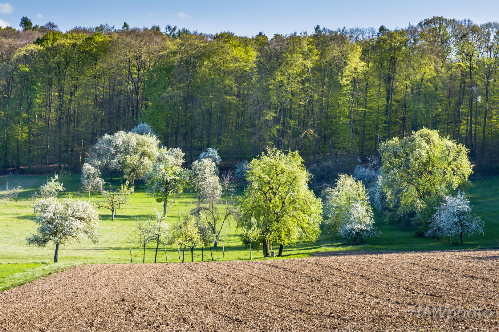 Kraichgau 2