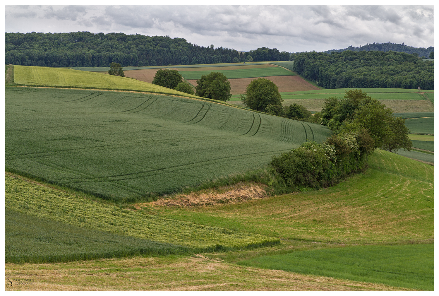 Kraichgau II