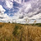 Kraichgau Impressionen 2