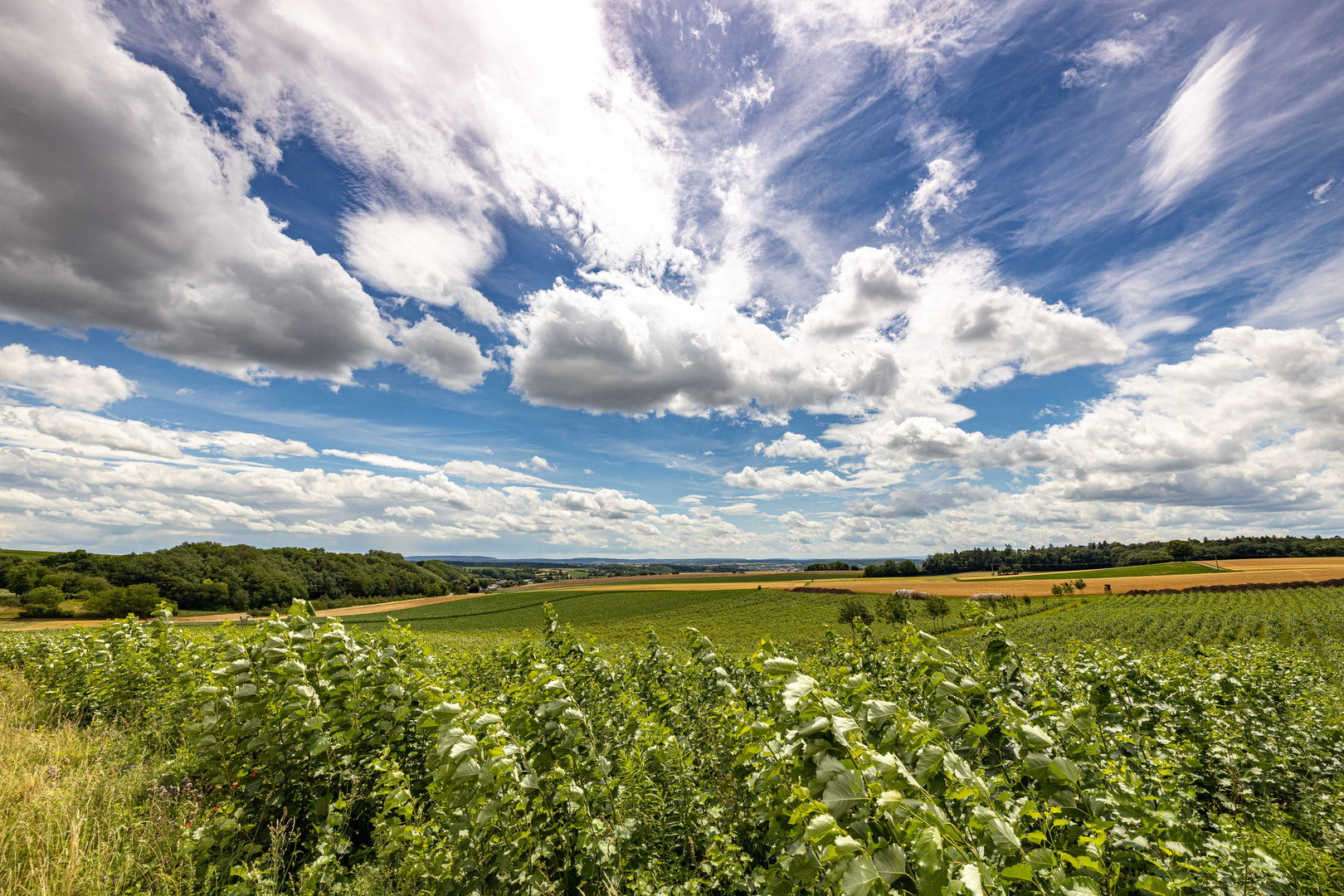 Kraichgau Impressionen 3