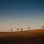 Kraichgau, morgens bei minus 12 Grad