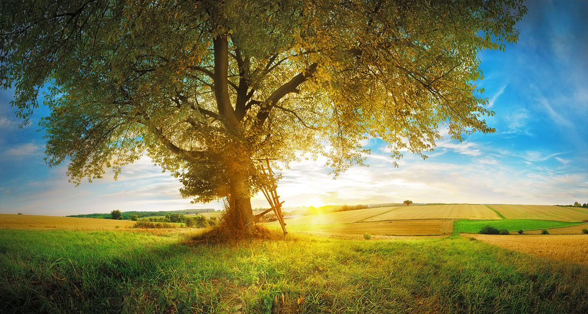 Kraichgau Sunset