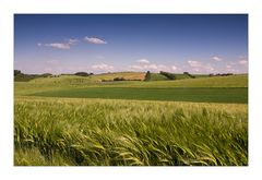 Kraichgau - Toskana und zurück!