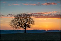 Kraichgauer Sonnenaufgangskitsch